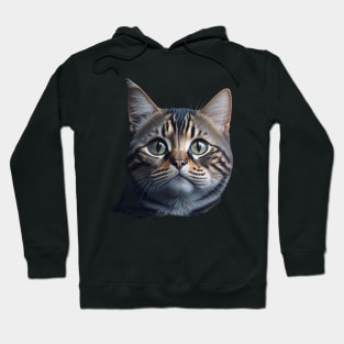 Grey Tabby Cat Hoodie